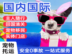 宜宾五粮液机场空运国际宠物托运 【国